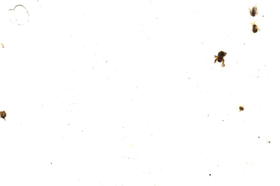 Image 113